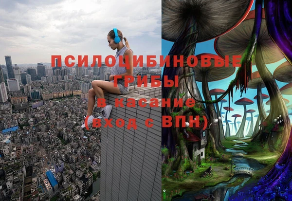 мет Аркадак