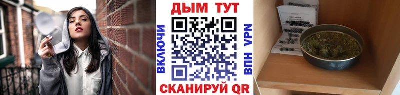 Канабис гибрид  хочу   Пласт 